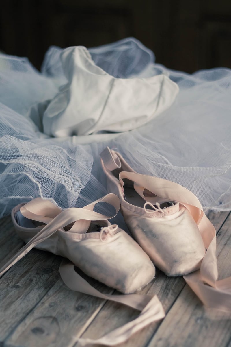 Ballet Fusion Image